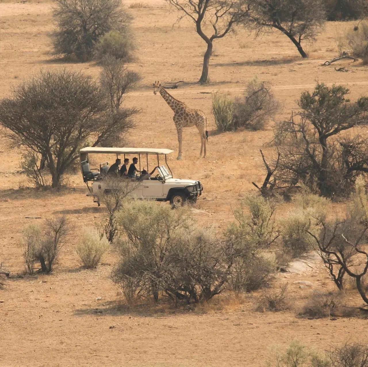 Safari vehicle